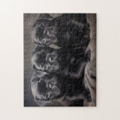 Drie zwarte Pug puppies Legpuzzel (Verticaal)