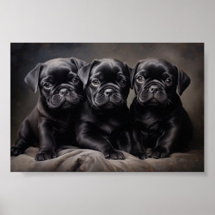 Drie zwarte Pug puppies Poster