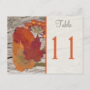 Dried Autumn Leaves and Flowers Table Number Briefkaart