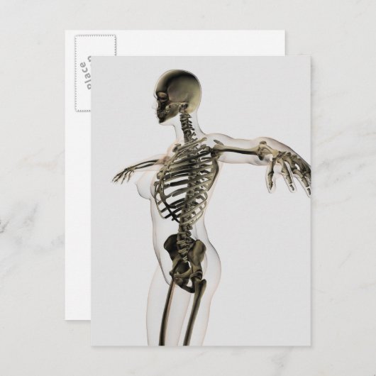 Driedimensionaal Uitzicht van het Vrouw skeletsyst Briefkaart (Voorkant / Achterkant)