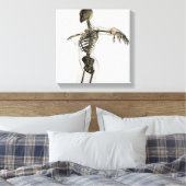 Driedimensionaal Uitzicht van het Vrouw skeletsyst Canvas Afdruk (Insitu (Slaapkamer))