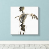 Driedimensionaal Uitzicht van het Vrouw skeletsyst Canvas Afdruk (Insitu (Houten vloer))