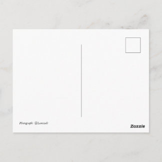 Drieëntwintig Briefkaart