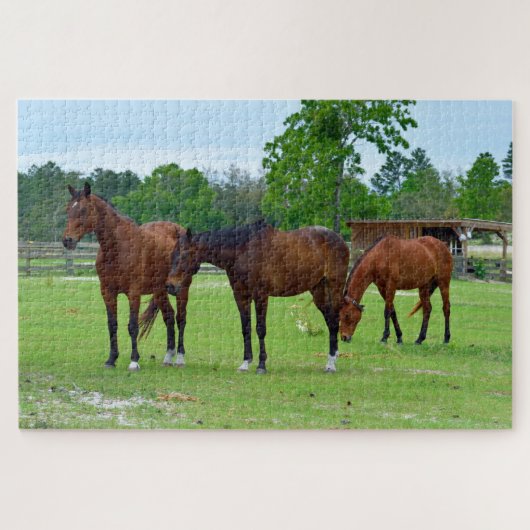 Driekleppige paarden legpuzzel (Horizontaal)