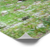 Driekleppige paarden poster (Hoek)