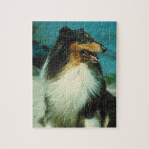 Driekleurig Collie Dog Puzzle Legpuzzel