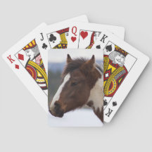 driekleurig paard