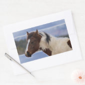 driekleurig paard rechthoekige sticker (Envelop)