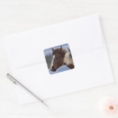 driekleurig paard vierkante sticker (Envelop)