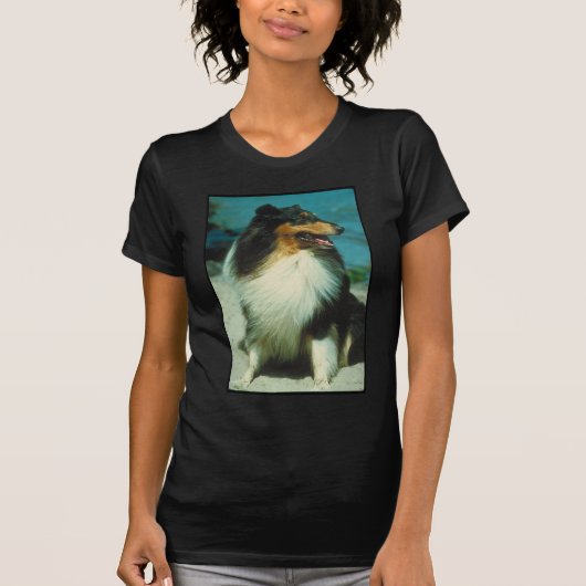 Driekleurig ruw kat met collie t-shirt (Voorkant)