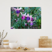 Driekleurige bellen poster (Keuken)