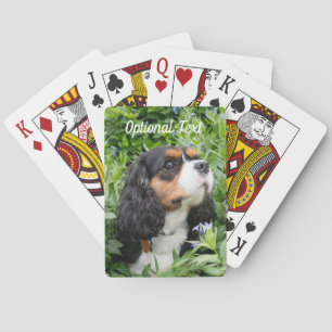 Driekleurige Cavalier King Charles Spaniel Hond Pokerkaarten