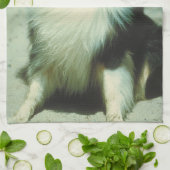 Driekleurige Collie Dog Kitchen Towel Theedoek (Gevouwen)