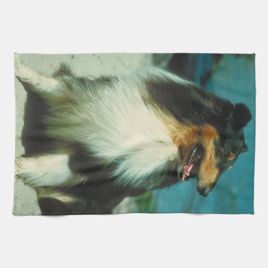 Driekleurige Collie Dog Kitchen Towel Theedoek (Horizontaal)
