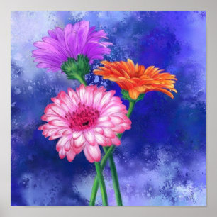 Driekleurige Gerbera's Poster Schilderij