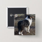 Driekleurige Rough Collie Vierkante Button 5,1 Cm (Voorkant /achterkant)