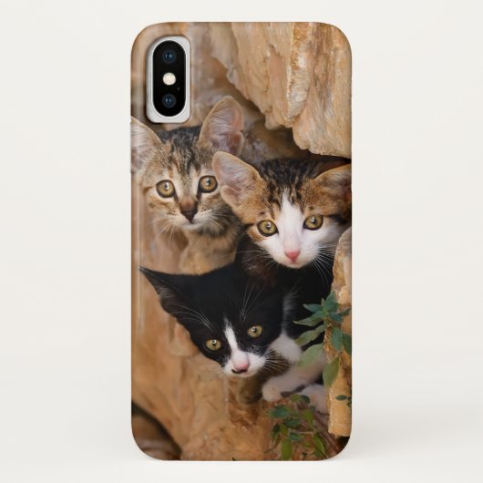 Driekundige kat Kittens wordt geconfronteerd met g Case-Mate iPhone Case (Achterkant)
