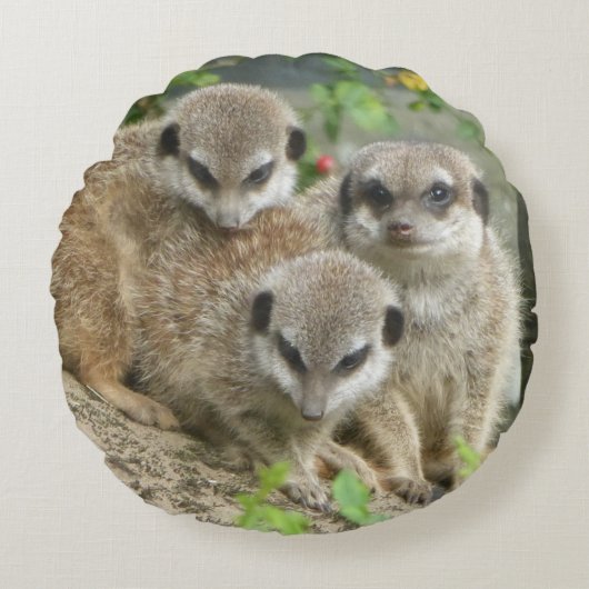 Driekundige Meerkats Round Pillow Rond Kussen (Voorkant)