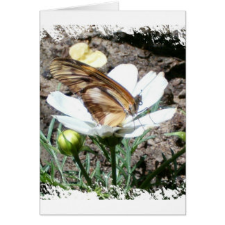 Driemaandelijks op bloem