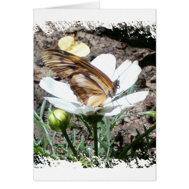 Driemaandelijks op bloem (Voorkant)