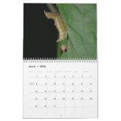 Driepijlerkalender Kalender (Mar 2026)