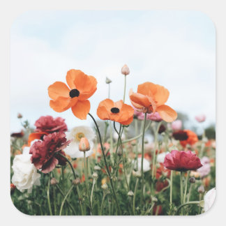 Drietal Bloemen Sticker
