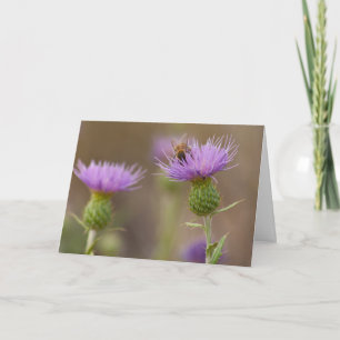 Drievige Bij op Paarse Distel Foto Felicitaties Kaart