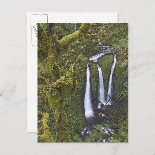 Drievoudige Herfsten, Columbia River Gorge Briefkaart (Voorkant / Achterkant)