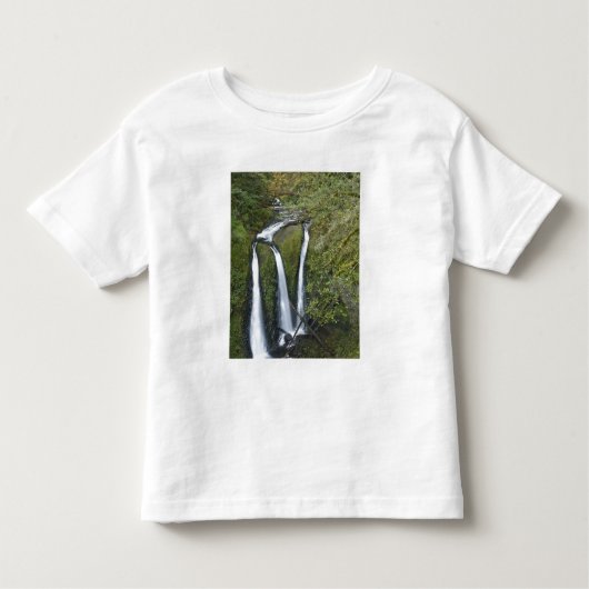 Drievoudige Herfsten, Columbia River Gorge Kinder Shirts (Voorkant)