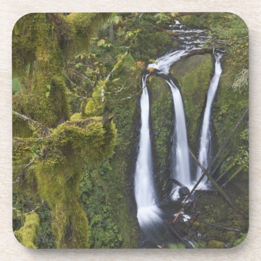 Drievoudige Herfsten, Columbia River Gorge Onderzetter (Voorkant)