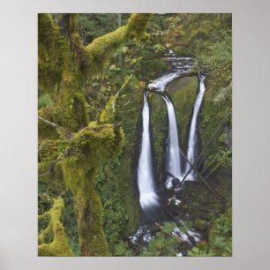Drievoudige Herfsten, Columbia River Gorge Poster