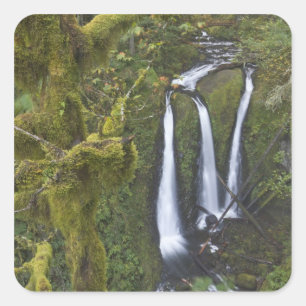 Drievoudige Herfsten, Columbia River Gorge Vierkante Sticker