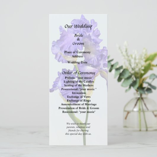 Drievoudige Paarse iris Programma (Staand voorkant)