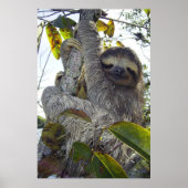 Drievoudige sleuf poster (Voorkant)