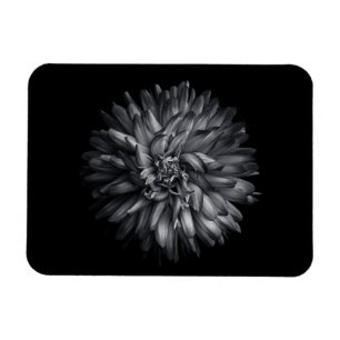 Driewerende bloemen in zwart-wit 20 magneet