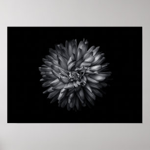 Driewerende bloemen in zwart-wit 20 poster
