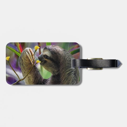 Driezijdige boomgaard bagagelabel (Achterkant horizontaal)