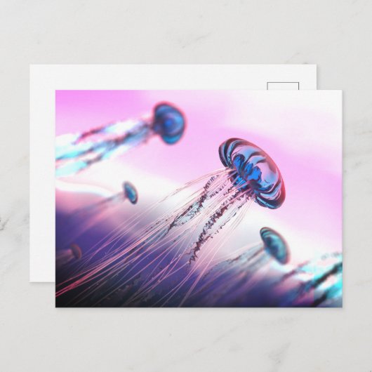 Drifting Along Briefkaart (Voorkant / Achterkant)