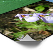 Driftless Area Map Poster (24x36inch) (Hoek)