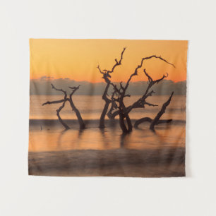 Driftwood Beach bij zonsopgang Jekyll Island Georg Wandkleed