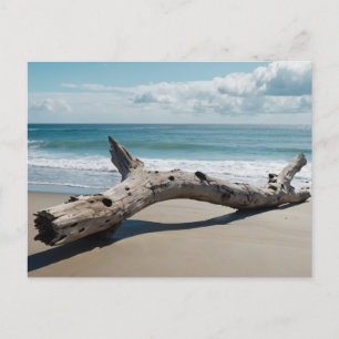 Driftwood Beach Feestdagenkaart