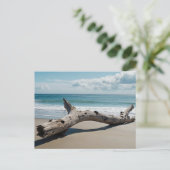 Driftwood Beach Feestdagenkaart (Staand voorkant)