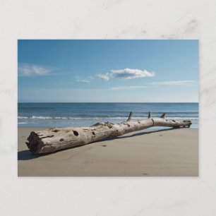 Driftwood Beach Feestdagenkaart
