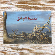 Driftwood Beach op Jekyll Island Doormat