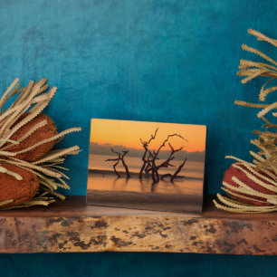 Driftwood Beach op Sunrise Jekyll Island Georgia Fotoplaat