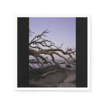 Driftwood Beach Papier Servet