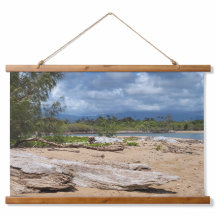 Driftwood Beach Scene