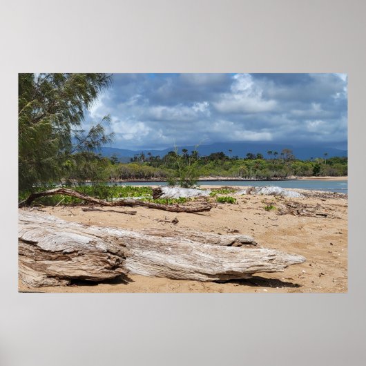 Driftwood Beach Scene Poster (Voorkant)