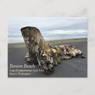 Driftwood bij Benson Beach, Cape Diseption, WA Briefkaart