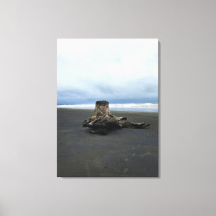 Driftwood bij Benson Beach, Cape Diseption, WA Canvas Afdruk